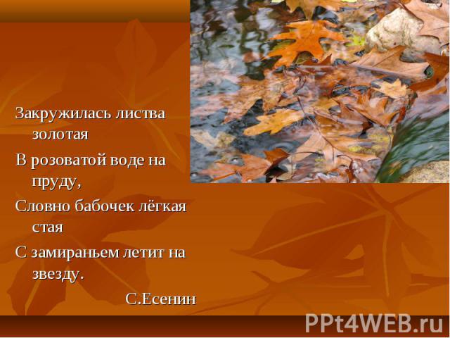 Закружилась листва золотая Закружилась листва золотая В розоватой воде на пруду, Словно бабочек лёгкая стая С замираньем летит на звезду. С.Есенин