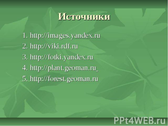 Источники 1. http://images.yandex.ru 2. http://viki.rdf.ru 3. http://fotki.yandex.ru 4. http://plant.geoman.ru 5. http://forest.geoman.ru