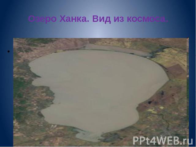 Озеро Ханка. Вид из космоса. Форма озера — грушевидная с расширением в северной его части. Площадь поверхности воды непостоянна, она меняется в зависимости от климатических условий.