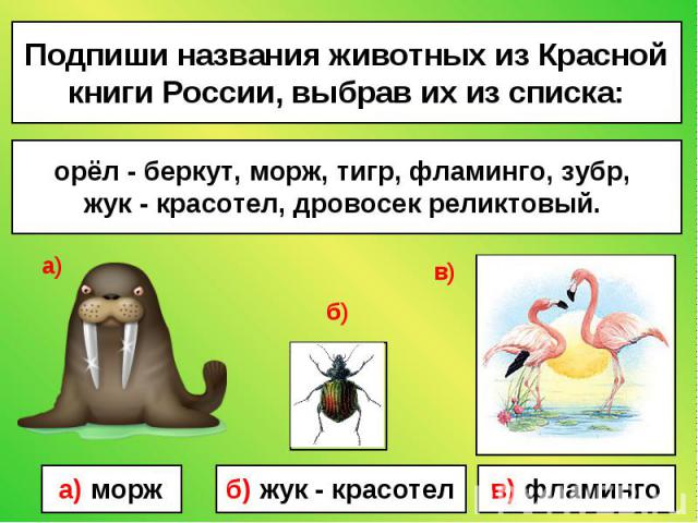 Подпиши названия животных из Красной книги России, выбрав их из списка: