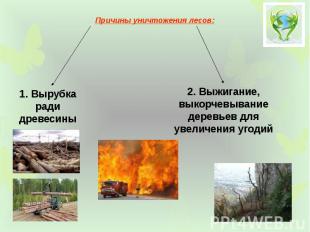 Причины уничтожения лесов: Причины уничтожения лесов: