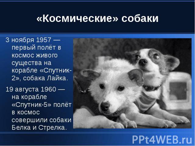 «Космические» собаки 3 ноября 1957 — первый полёт в космос живого существа на корабле «Спутник-2», собака Лайка. 19 августа 1960 — на корабле «Спутник-5» полёт в космос совершили собаки Белка и Стрелка.