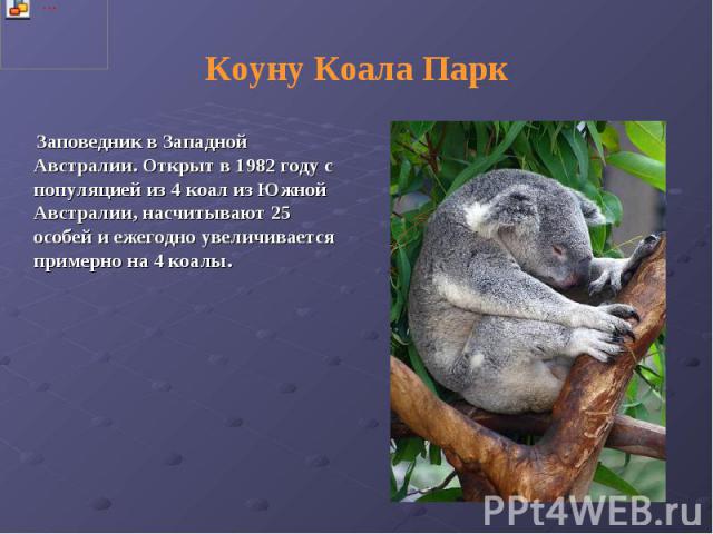 Коуну Коала Парк Заповедник в Западной Австралии. Открыт в 1982 году с популяцией из 4 коал из Южной Австралии, насчитывают 25 особей и ежегодно увеличивается примерно на 4 коалы.