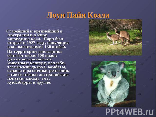 Лоун Пайн Коала Старейший и крупнейший в Австралии и в мире заповедник коал. Парк был открыт в 1927 году, популяция коал насчитывает 130 особей. На территории заповедника обитают около 100 видов других австралийских животных: кенгуру, валлаби, тасма…