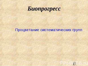 Процветание систематических групп Процветание систематических групп