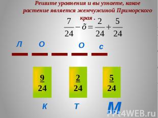 Решите уравнения и вы узнаете, какое растение является жемчужиной Приморского кр