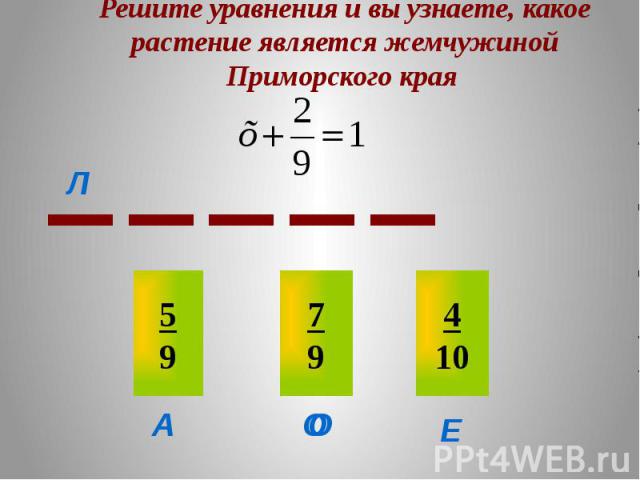 Решите уравнения и вы узнаете, какое растение является жемчужиной Приморского края