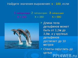 Длина тела дельфинов может быть от 1,2м до 3,8м, а у крупных дельфинов достигает