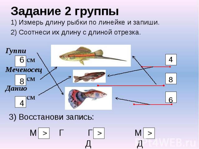 Задание 2 группы 1) Измерь длину рыбки по линейке и запиши. 2) Соотнеси их длину с длиной отрезка.