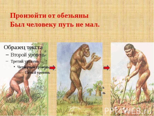 Произойти от обезьяны Был человеку путь не мал.