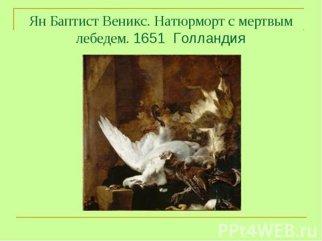 Ян Баптист Веникс. Натюрморт с мертвым лебедем. 1651 Голландия