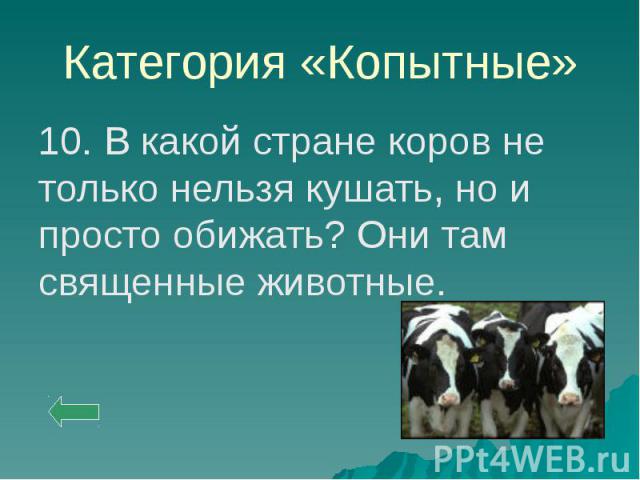 Категория «Копытные» 10. В какой стране коров не только нельзя кушать, но и просто обижать? Они там священные животные.