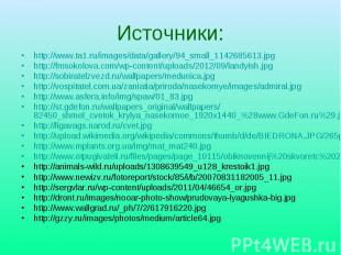 Источники: http://www.ta1.ru/images/data/gallery/94_small_1142685613.jpg http://