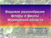 Видовое разнообразие флоры и фауны Мурманской области (дидактический НРК-ресурс