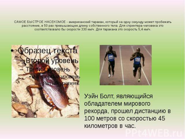 САМОЕ БЫСТРОЕ НАСЕКОМОЕ - американский таракан, который за одну секунду может пробежать расстояние, в 50 раз превышающее длину собственного тела. Для спринтера-человека это соответствовало бы скорости 330 км/ч. Для таракана это скорость 5,4 км/ч.