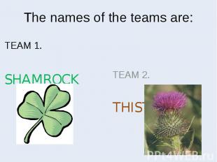The names of the teams are: TEAM 1. SHAMROCK