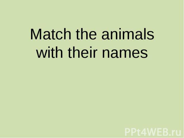 Match the animals with their names