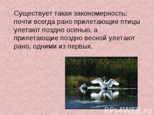 Существует такая закономерность: почти всегда рано прилетающие птицы улетают поз