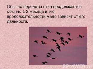 Обычно перелёты птиц продолжаются обычно 1-2 месяца и его продолжительность мало