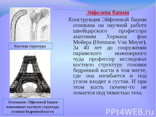 Эйфелева башня Эйфелева башня Конструкция Эйфелевой башни основана на научной работе швейцарского профессора анатомии Хермана фон Мейера (Hermann Von Meyer). За 40 лет до сооружения парижского инженерного чуда профессор исследовал костную структуру …