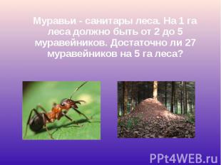 Муравьи - санитары леса. На 1 га леса должно быть от 2 до 5 муравейников. Достат