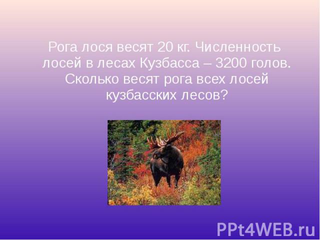 Рога лося весят 20 кг. Численность лосей в лесах Кузбасса – 3200 голов. Сколько весят рога всех лосей кузбасских лесов?