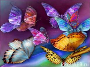 .Существует почти 20 000 разновидностей бабочек, самая крупная из которых Queen