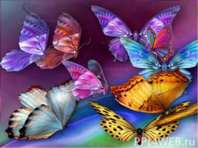 .Существует почти 20 000 разновидностей бабочек, самая крупная из которых Queen Alexandra Birdwing, с размахом крыльев около 28 сантиметров. Бабочки рождаются, чтобы умереть, дав жизнь новому поколению. Большинство из них живет всего несколько дней,…