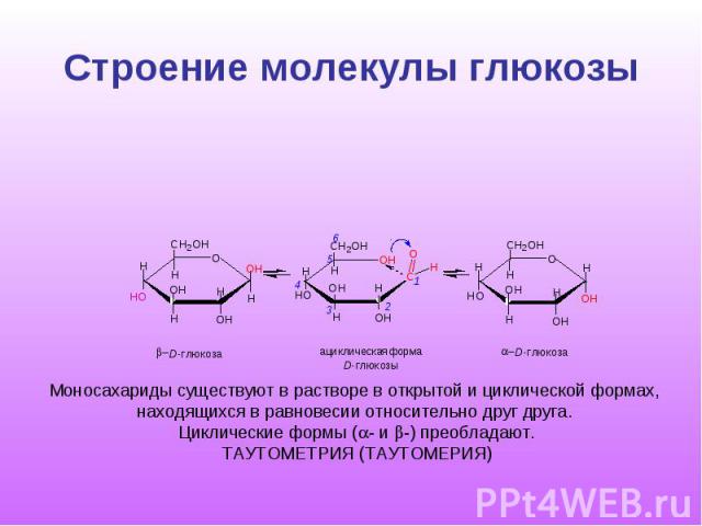 Строение молекулы какого мономера изображено на представленной схеме что обозначено буквами а б в на