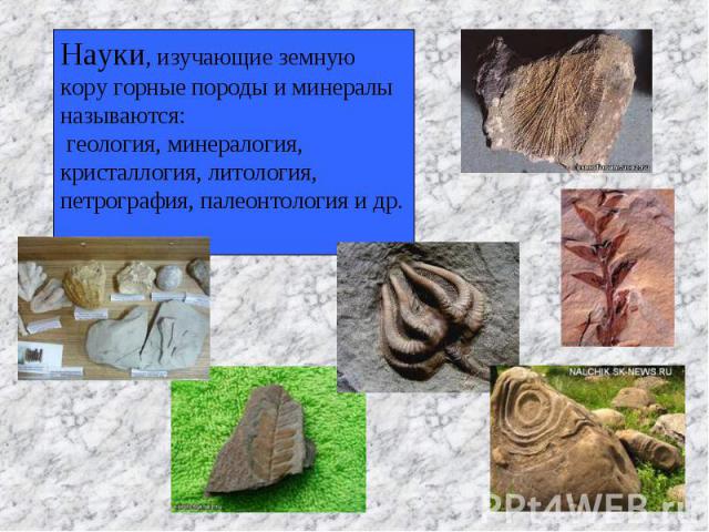 Науки, изучающие земную кору горные породы и минералы