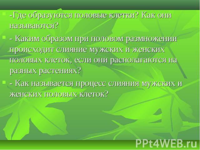 -Где образуются половые клетки? Как они называются? -Где образуются половые клетки? Как они называются? - Каким образом при половом размножении происходит слияние мужских и женских половых клеток, если они располагаются на разных растениях? - Как на…