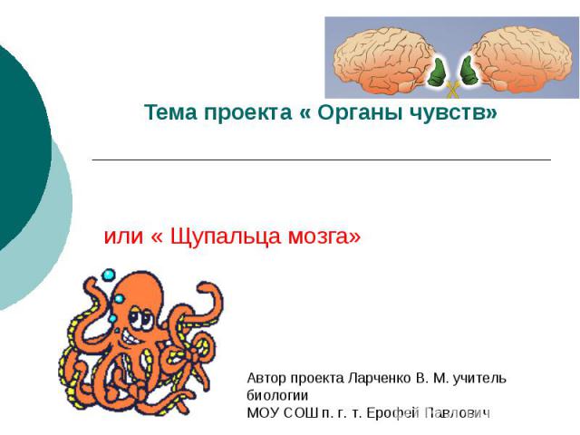 Тема проекта « Органы чувств» или « Щупальца мозга»