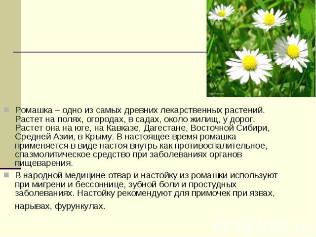 Ромашка – одно из самых древних лекарственных растений. Растет на полях, огородах, в садах, около жилищ, у дорог. Растет она на юге, на Кавказе, Дагестане, Восточной Сибири, Средней Азии, в Крыму. В настоящее время ромашка применяется в виде настоя …