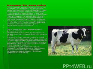Использование ГМО в сельском хозяйстве Использование ГМО в сельском хозяйстве Ге