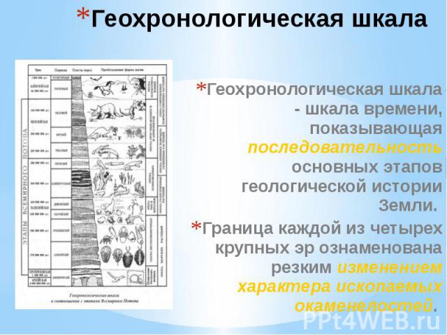 Геохронологическая шкала Геохронологическая шкала - шкала времени, показывающая последовательность основных этапов геологической истории Земли. Граница каждой из четырех крупных эр ознаменована резким изменением характера ископаемых окаменелостей.