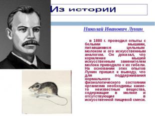 Николай Иванович Лунин Николай Иванович Лунин в 1880 г. проводил опыты с белыми