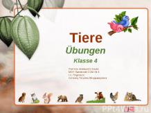 "Tiere"