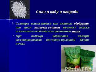 Селитры используются как азотные удобрения, при этом калиевая селитра является т