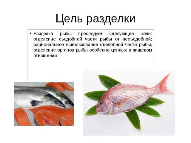Цель разделки Разделка рыбы преследует следующие цели: отделение съедобной части рыбы от несъедобной; рациональное использование съедобной части рыбы, отделение органов рыбы особенно ценных в пищевом отношении