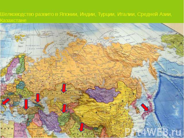 Шелководство развито в Японии, Индии, Турции, Италии, Средней Азии, Казахстане