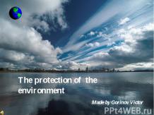 The protection of the environment