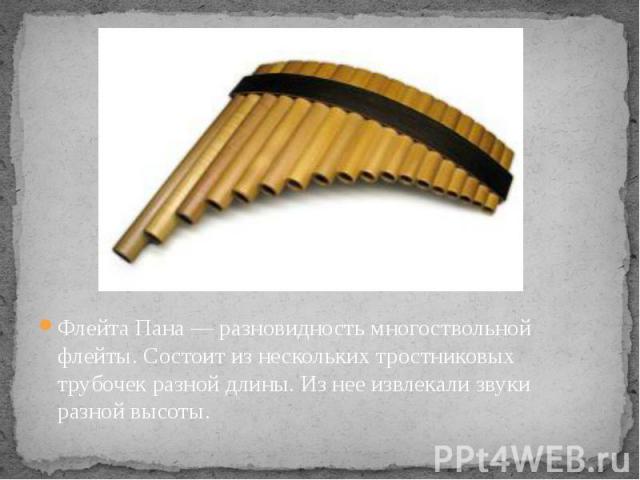 Флейта Пана — разновидность многоствольной флейты. Состоит из нескольких тростниковых трубочек разной длины. Из нее извлекали звуки разной высоты.