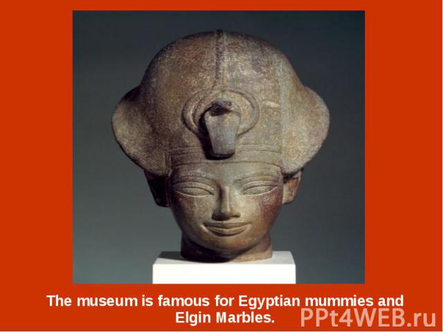 The museum is famous for Egyptian mummies and Elgin Marbles. The museum is famous for Egyptian mummies and Elgin Marbles.