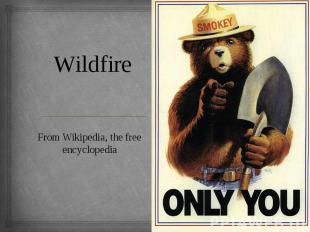 Wildfire From Wikipedia, the free encyclopedia