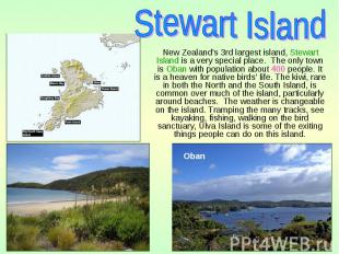 New Zealand’s 3rd largest island, Stewart Island is a very special place. The on