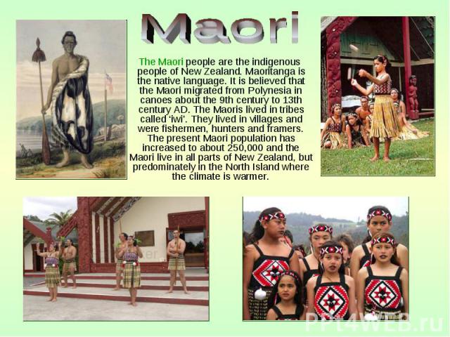 The Maori people are the indigenous people of New Zealand. Maoritanga is the native language. It is believed that the Maori migrated from Polynesia in canoes about the 9th century to 13th century AD. The Maoris lived in tribes called ‘iwi’. They liv…
