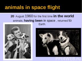 animals in space flight