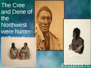The Cree and Dene of the Northwest were hunter-gatherers.