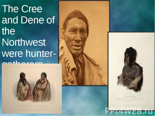 The Cree and Dene of the Northwest were hunter-gatherers.