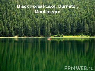Black Forest Lake, Durmitor, Montenegro